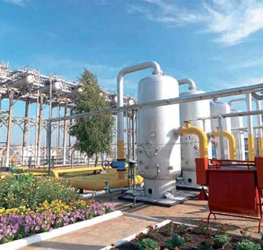 Perú Palmas Noticias