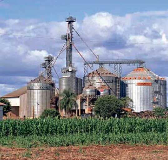 Perú Palmas Noticias