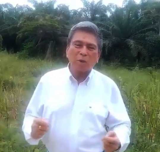 Perú Palmas Noticias