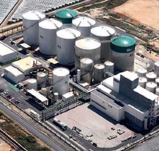 Perú Palmas Noticias