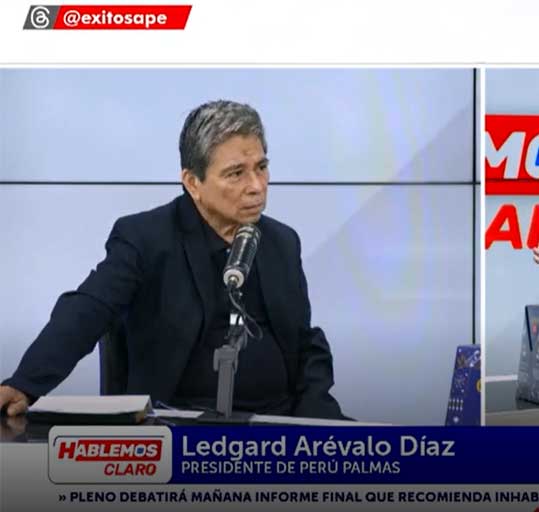 Perú Palmas Noticias