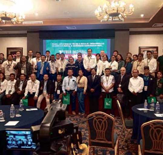 Perú Palmas Noticias