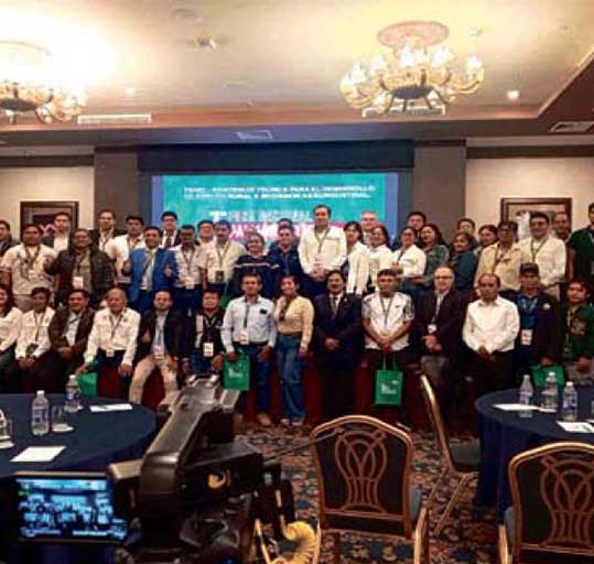 Palma aceitera genera empleo