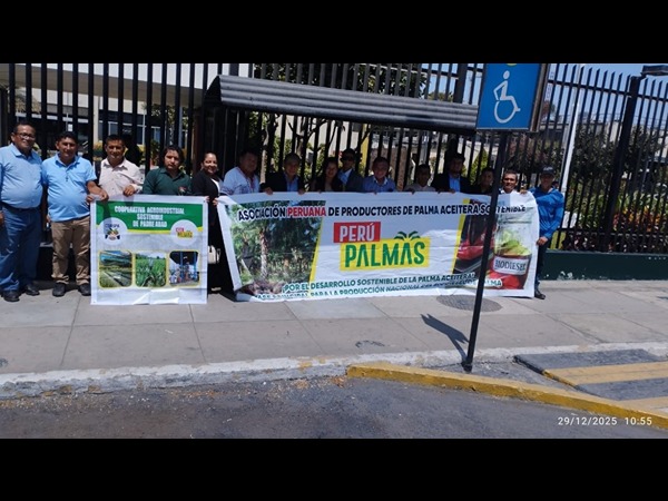 Perú Palmas Noticias